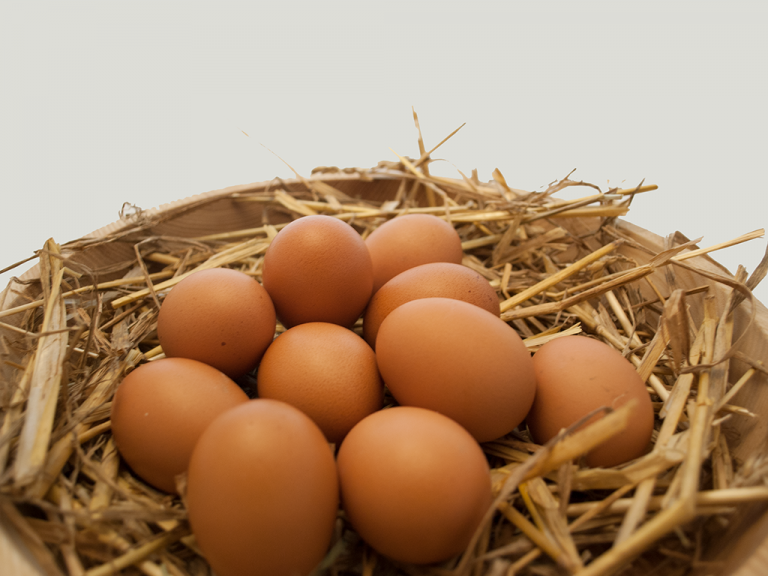 Produktpalette Feichtmayr Direktvermarktung Steyregg